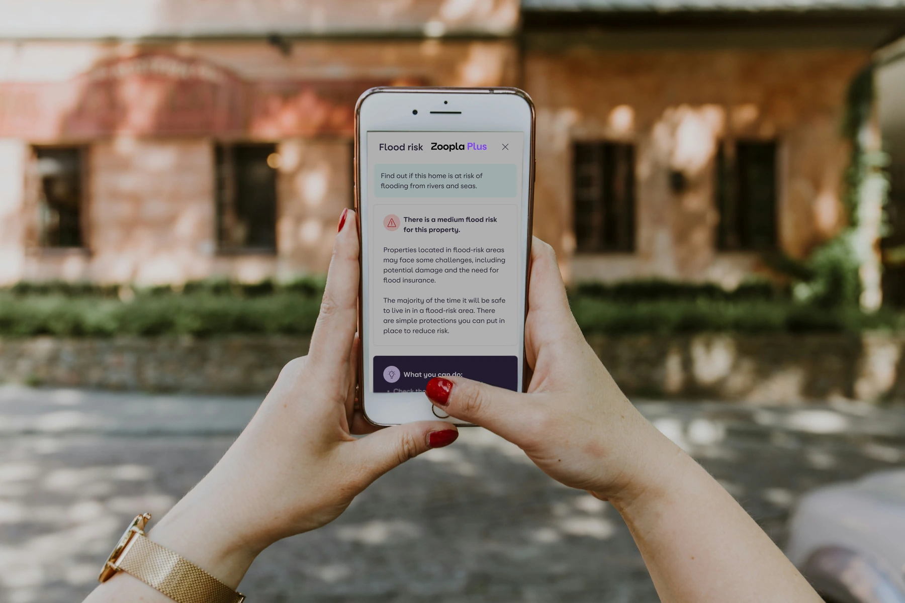 Zoopla-Plus-case study.jpg